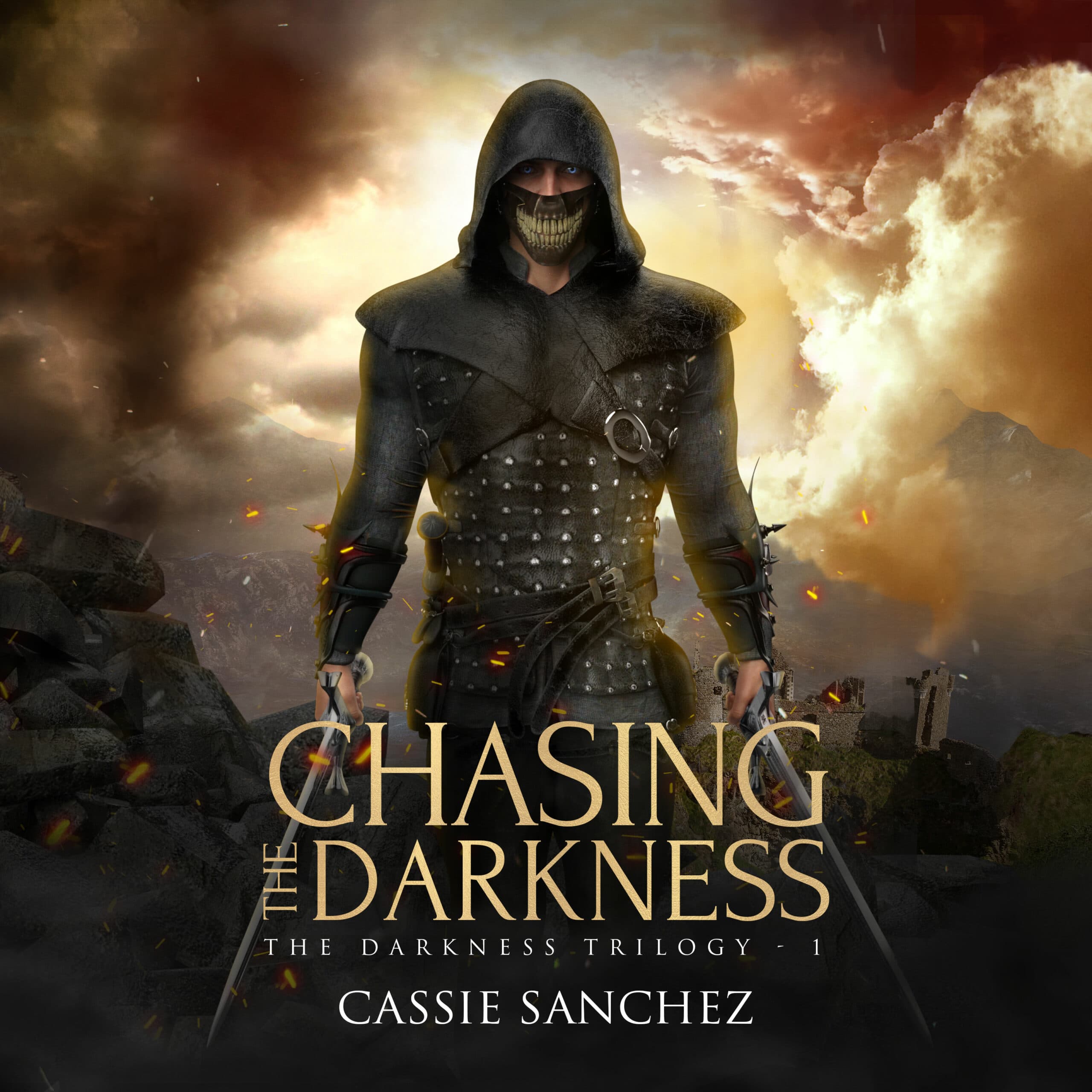 Chasing the Darkness cover