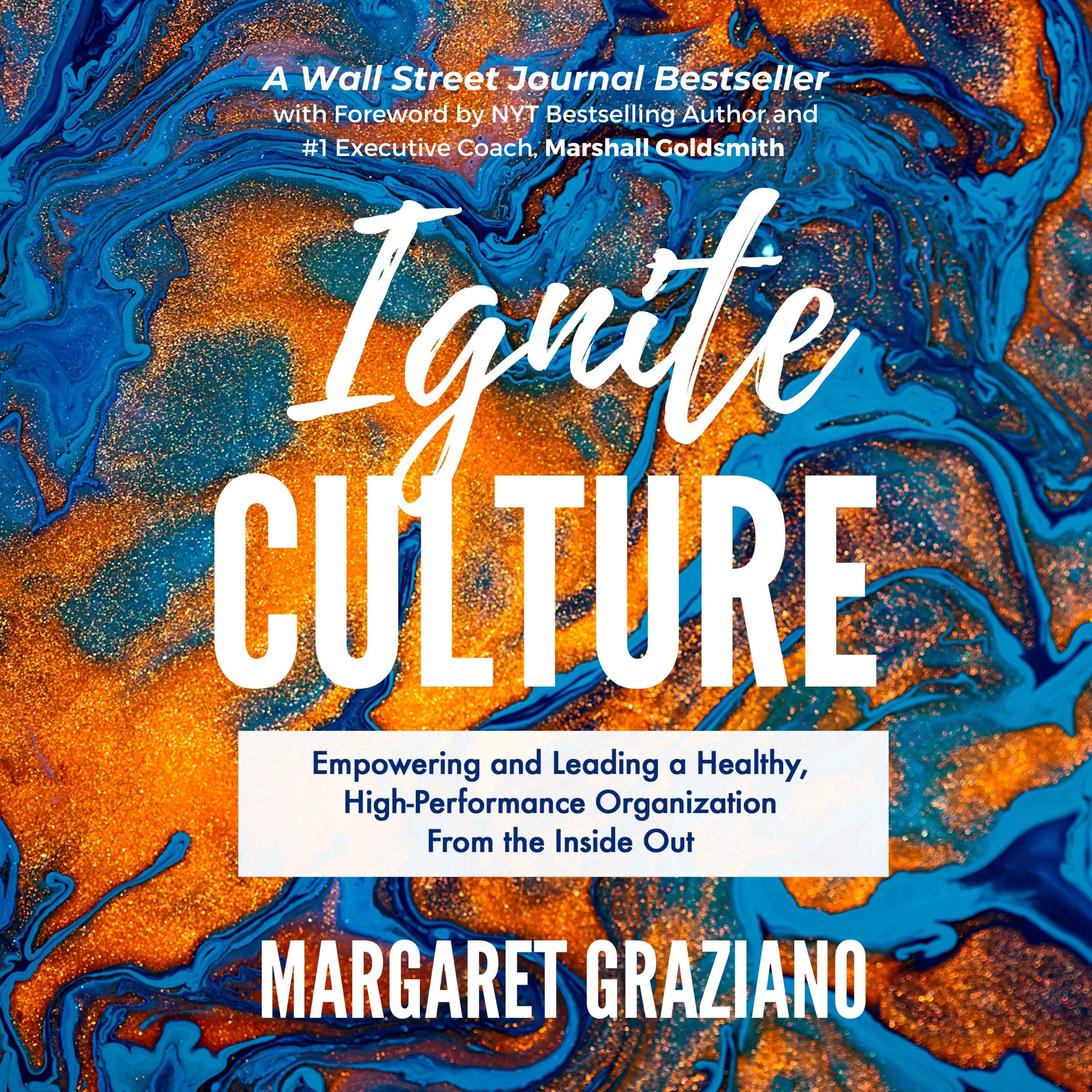 Ignite Culture: Empowering and Leading a Healthy, High-Performance Organization from the Inside Out cover