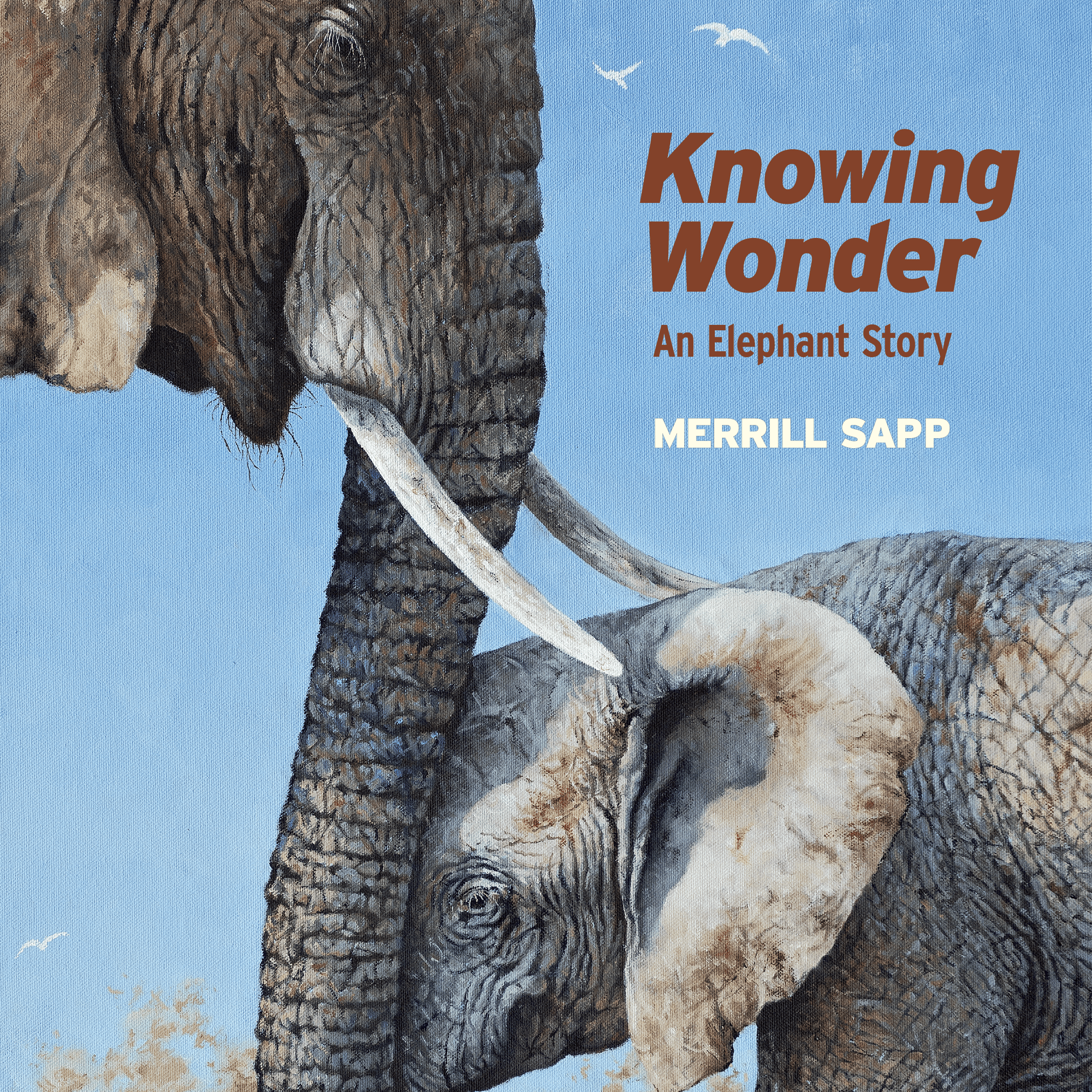 Knowing Wonder: An Elephant Story cover