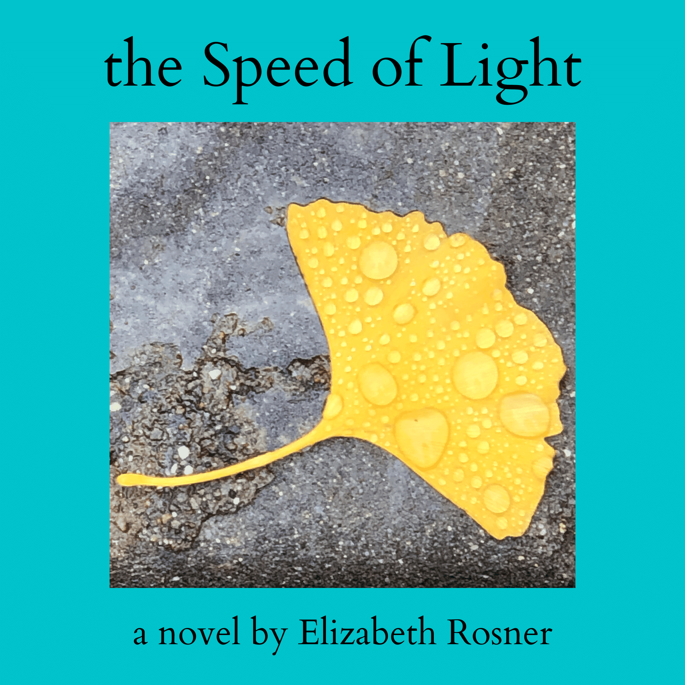 The Speed of Light: A Novel cover