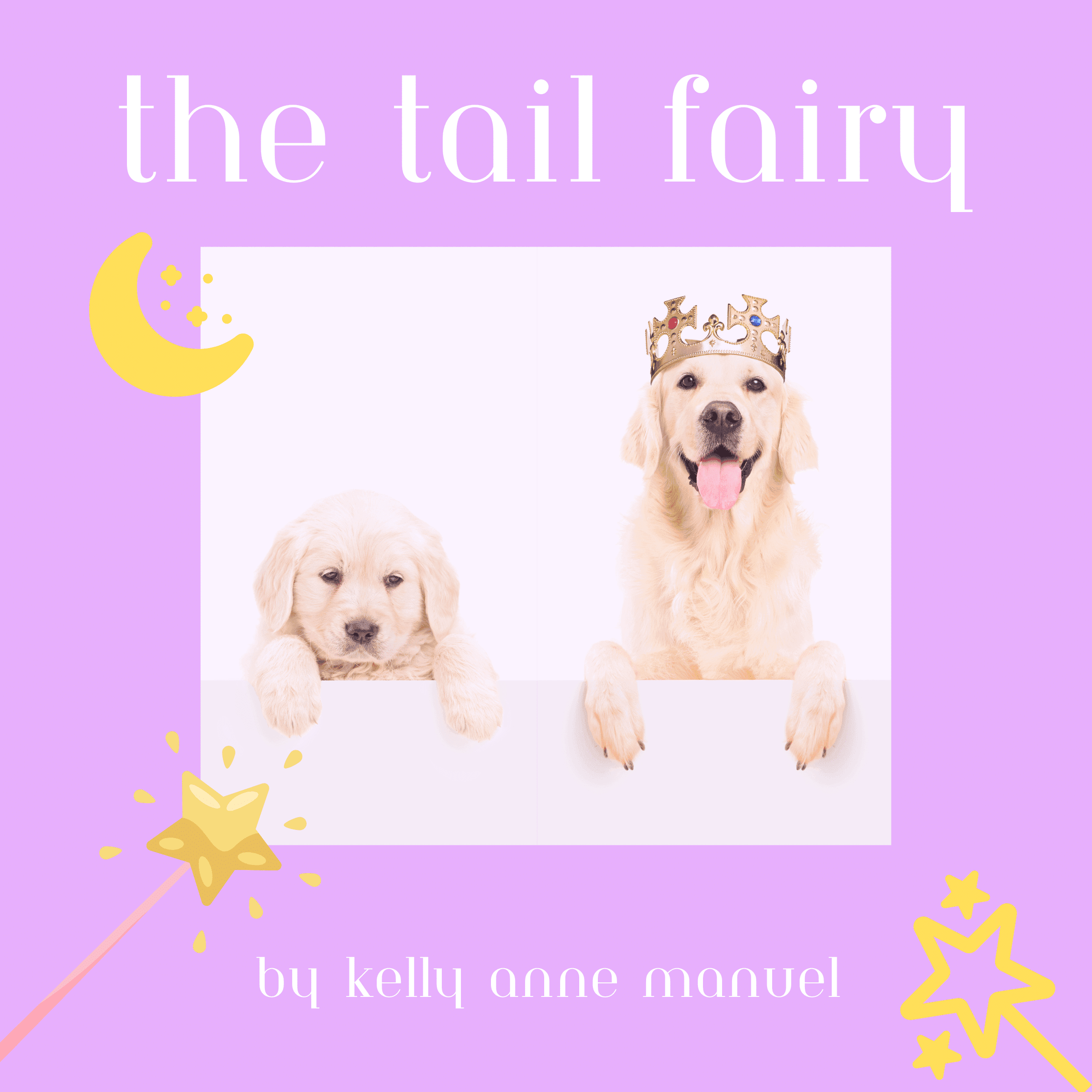 The Tail Fairy cover