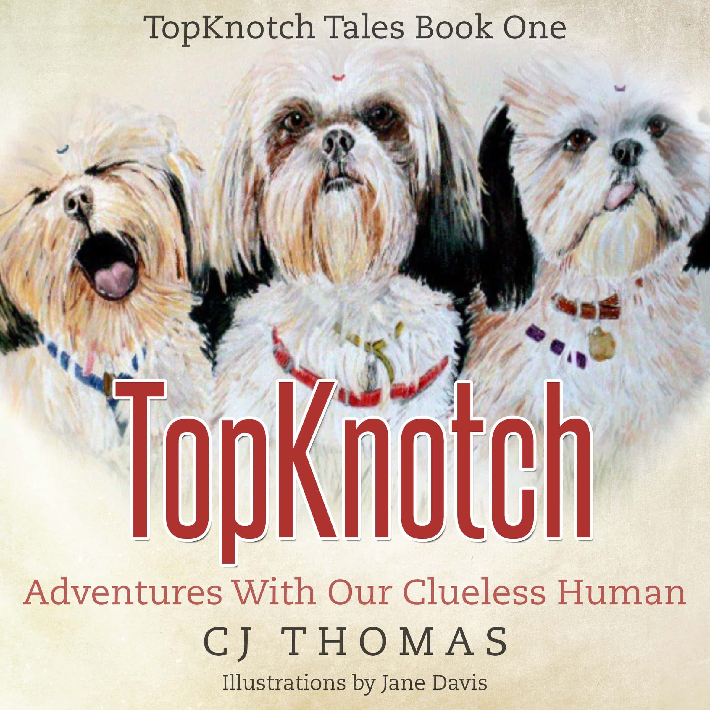 TopKnotch: Adventures With Our Clueless Human cover