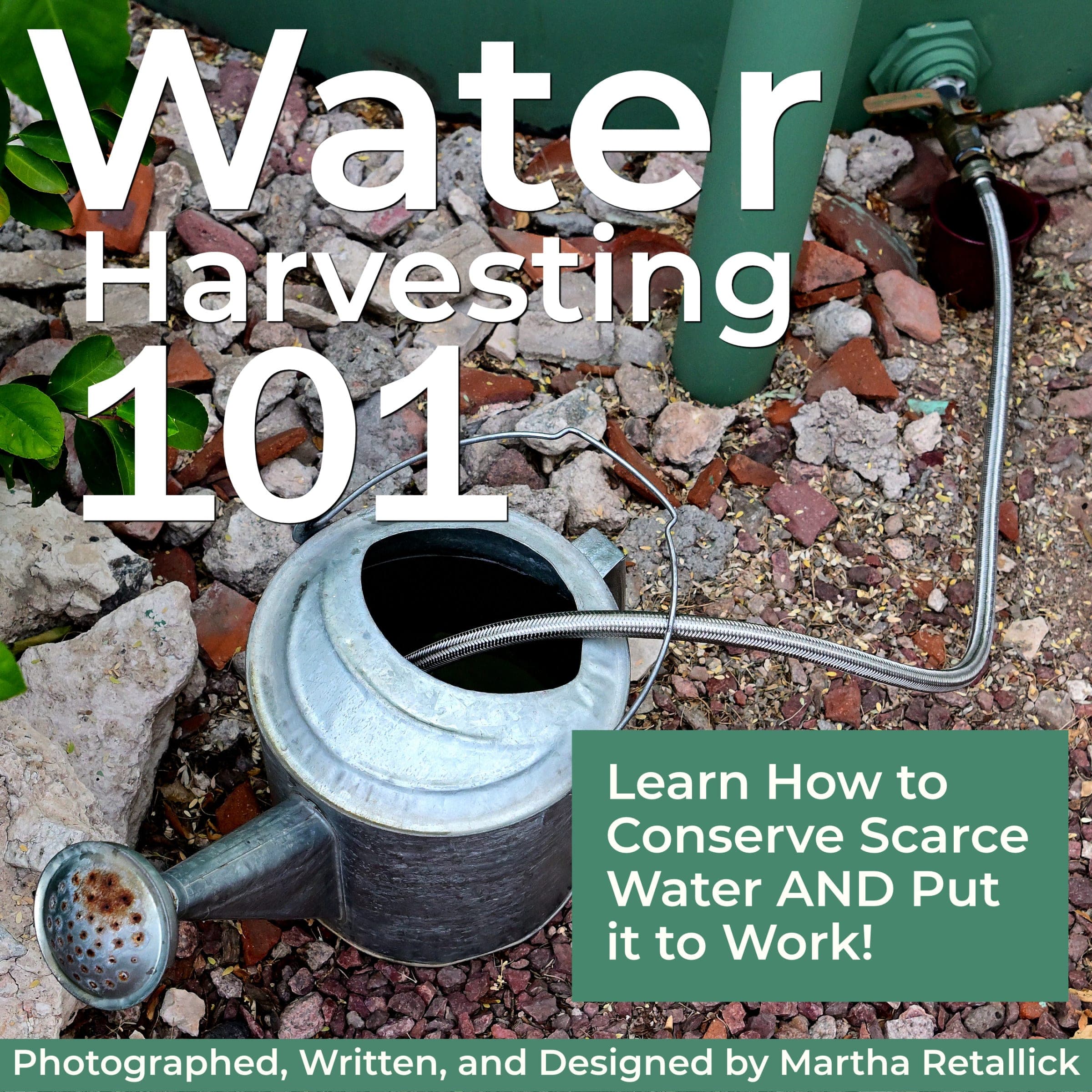 Water Harvesting 101: Learn How to Conserve Scarce Water and Put It To Work cover
