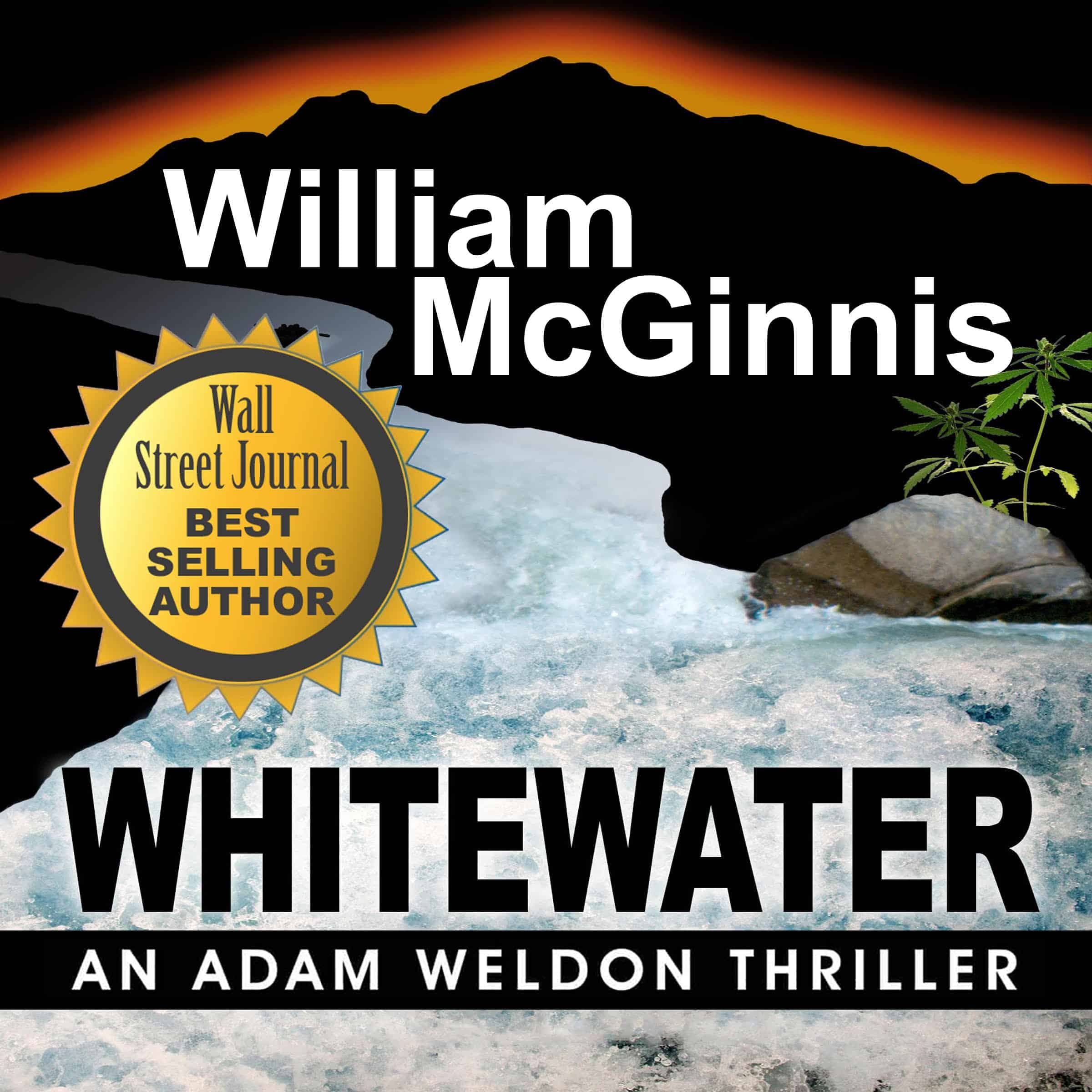 Whitewater: A Thriller cover