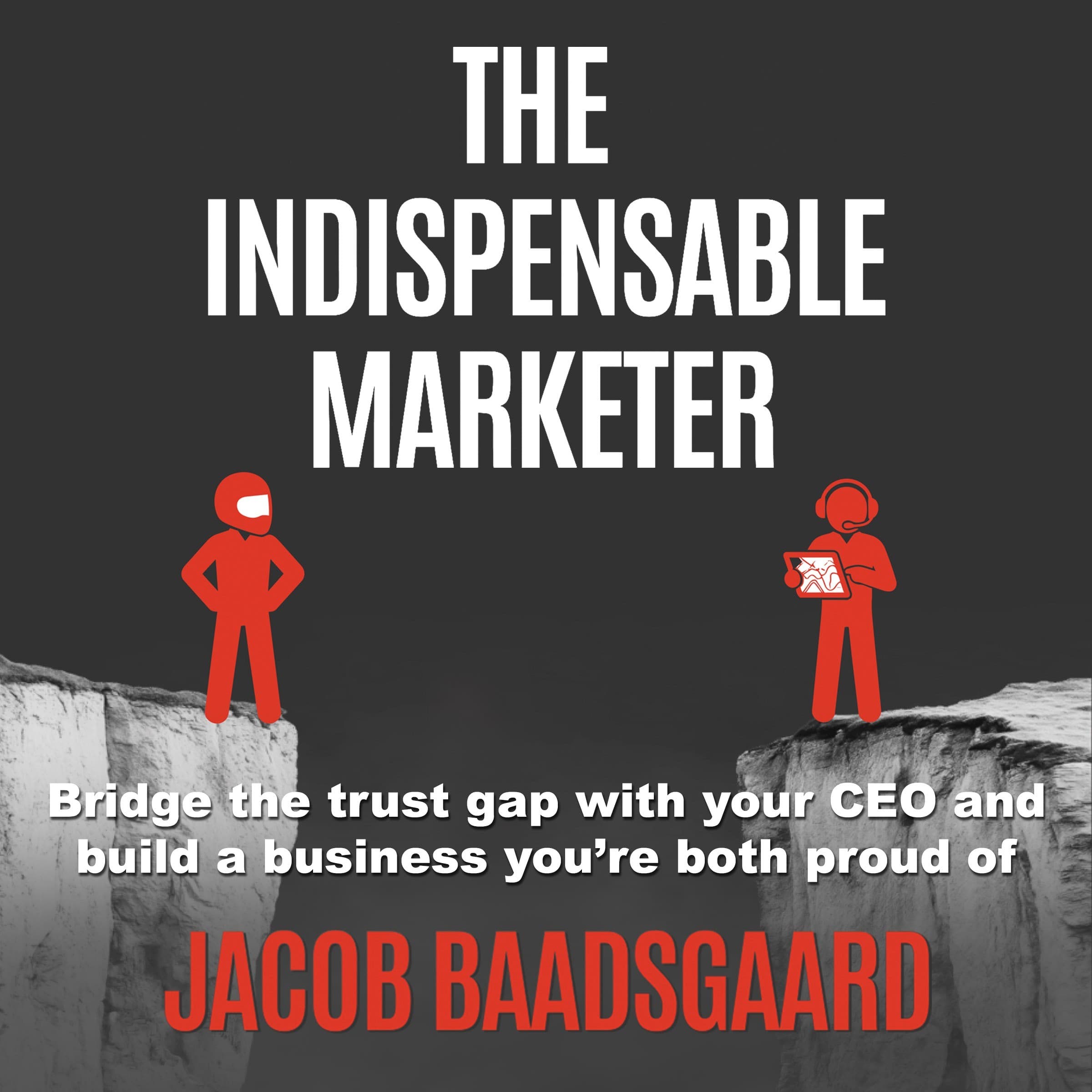 The Indispensable Marketer cover